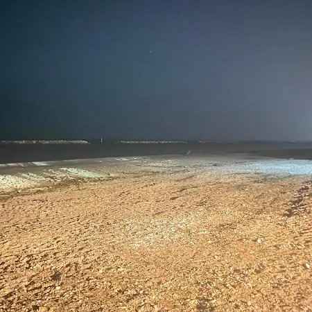 شقة Anna Al Mare *